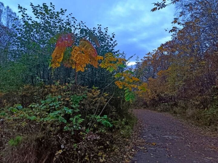    Фото:Екатерина Подпенко