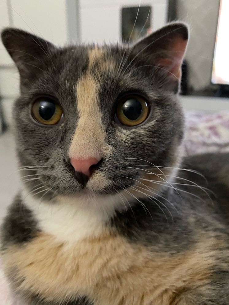     Фото: "МК в Калуге"