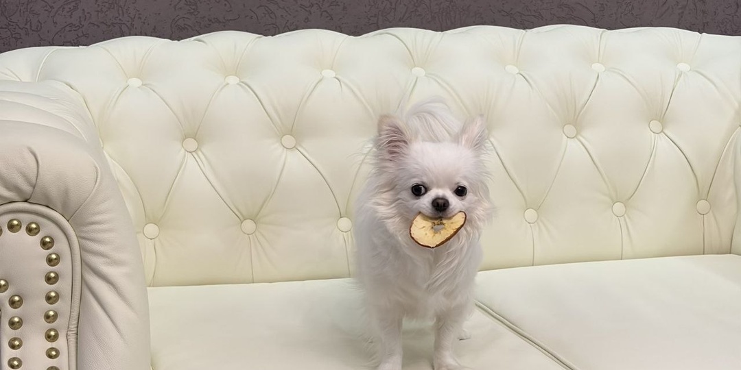 Приветы от выпускниц и выпускников