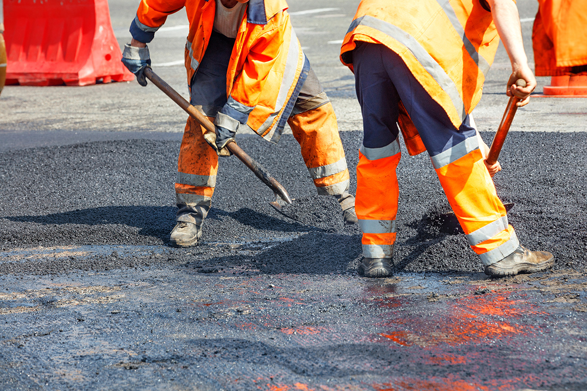    Фото: Sergii_Petruk / Sutterstock.com