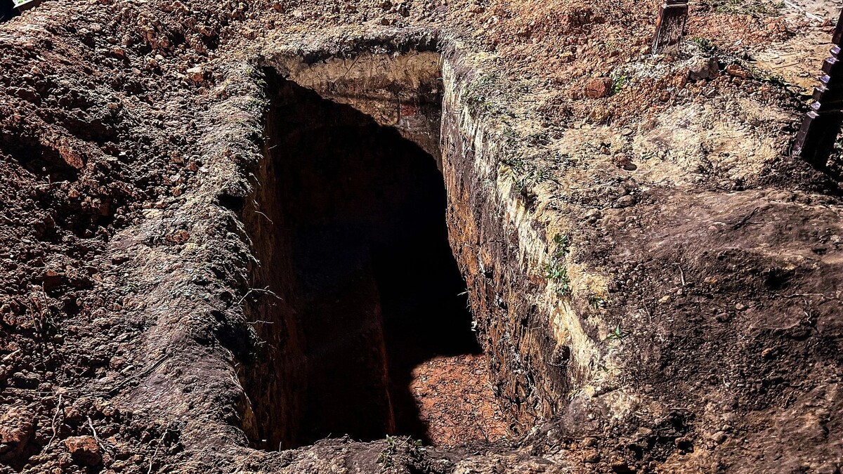    Фото:SKR Digitall/Shutterstock/Fotodom