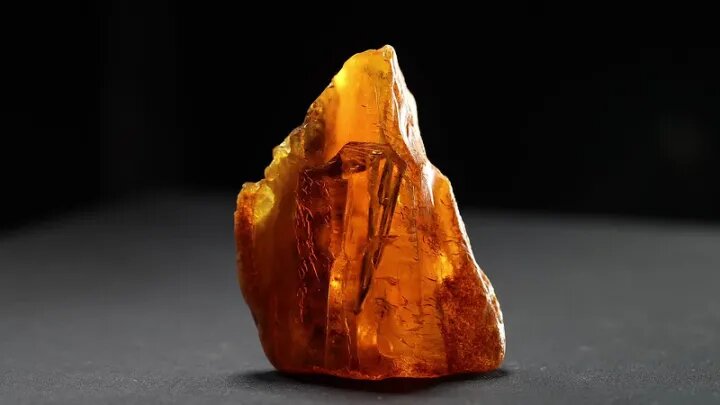 Редкий янтарь с хвоей древней сосны нашли в Калининградской области