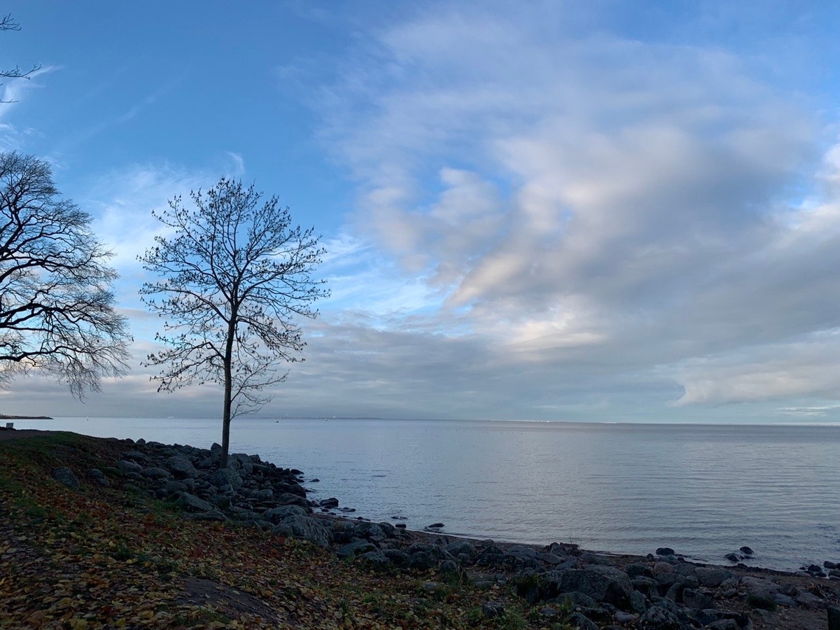 Финский залив в районе Петергофа