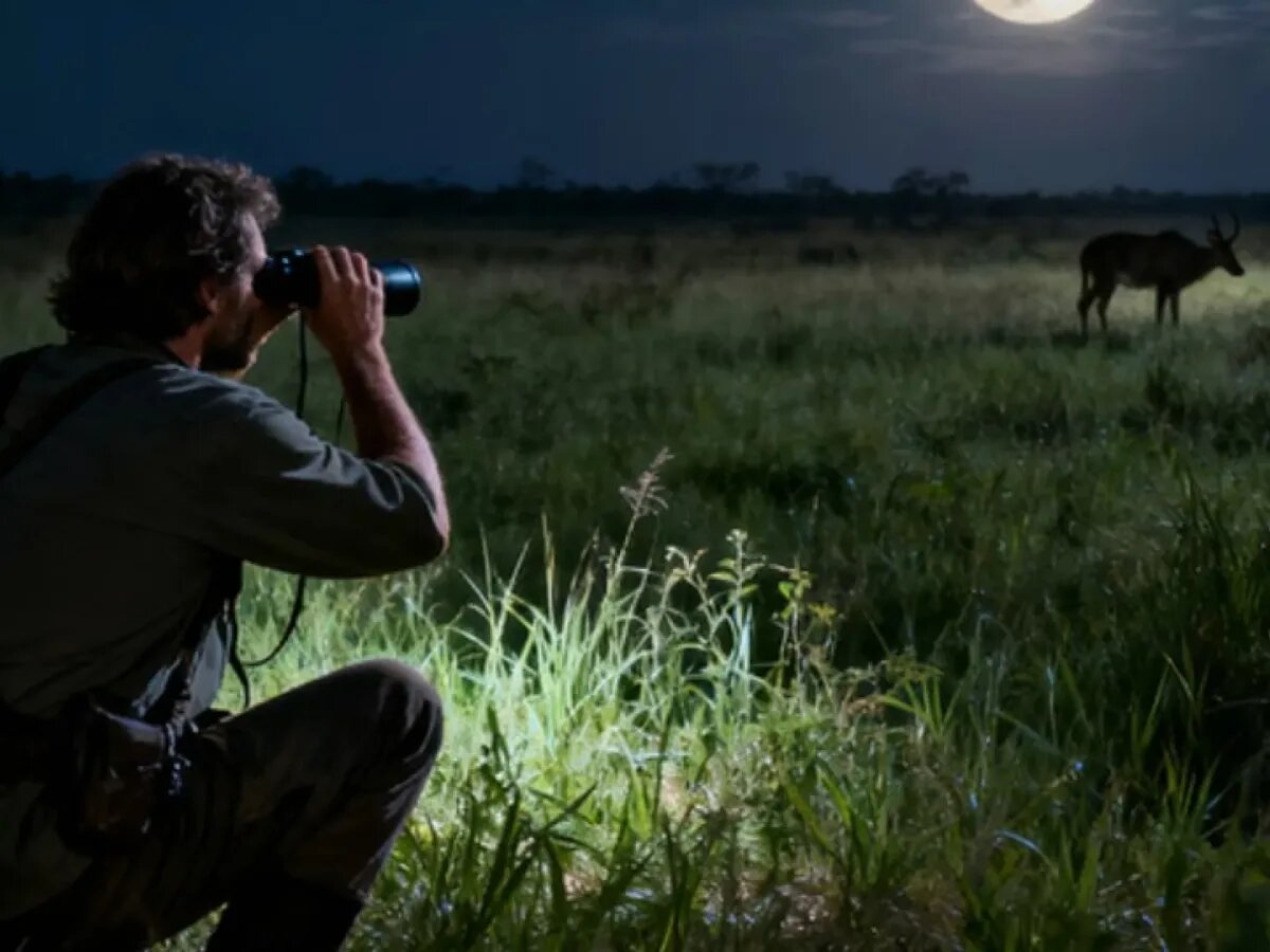    Бинокль с ИИ способен распознавать объекты в полной темноте