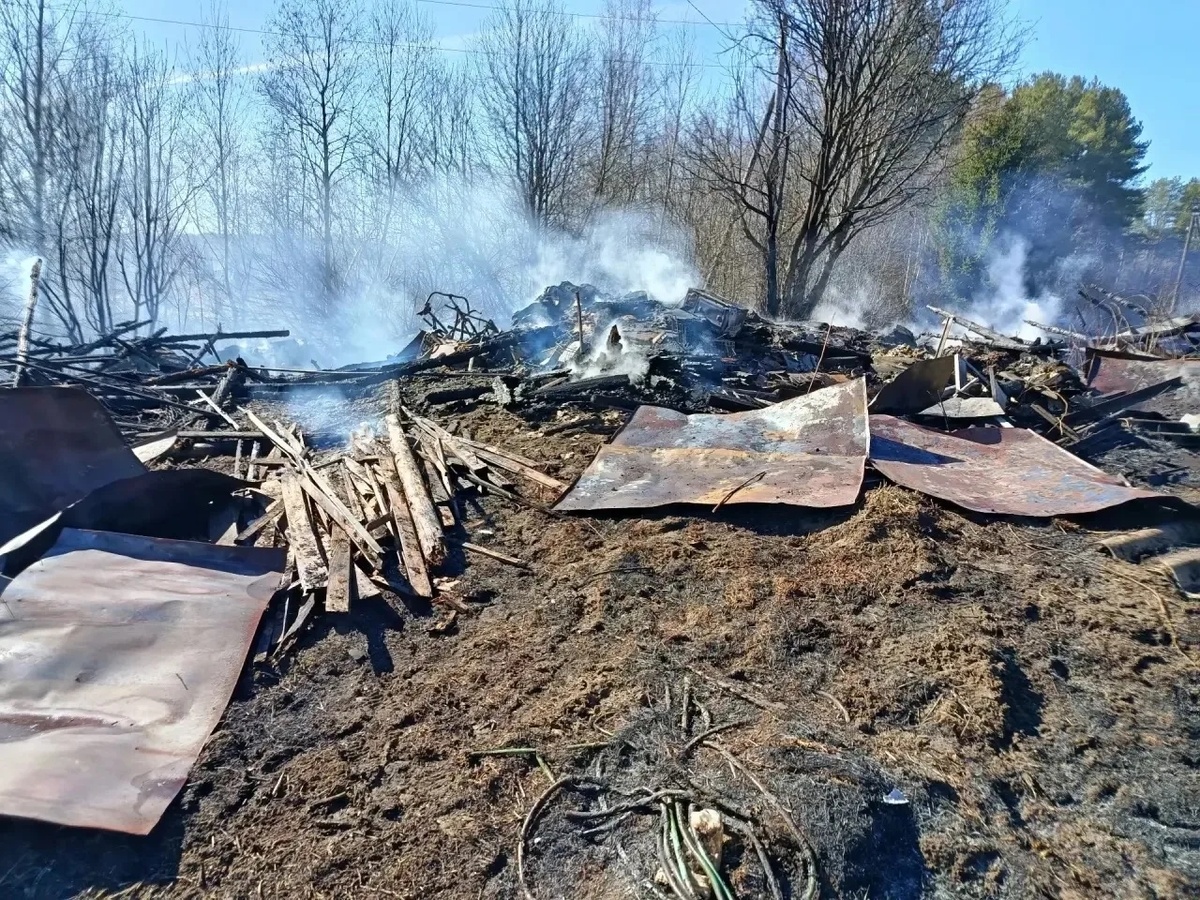   Государственный комитет Карелии по ОЖиБН