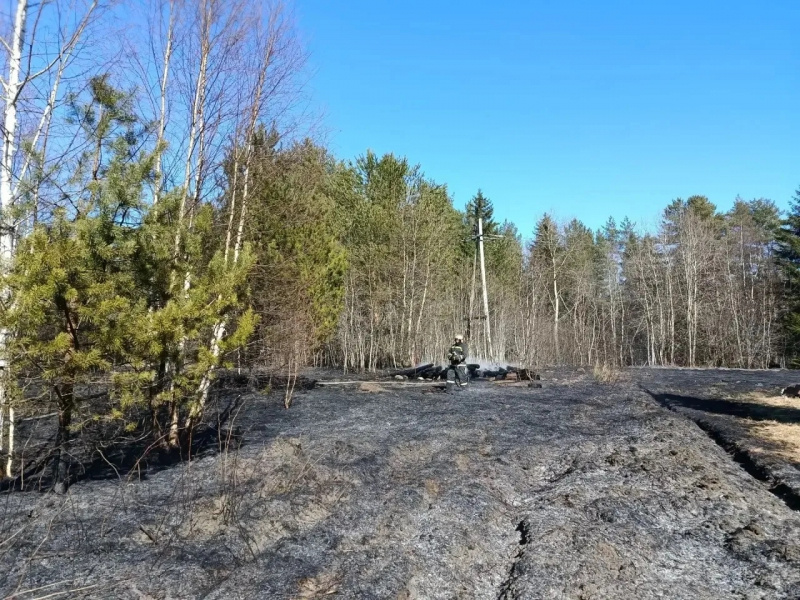    Пожарные остановили огонь в деревне Карелии, который шел на лесГосударственный комитет Карелии по ОЖиБН