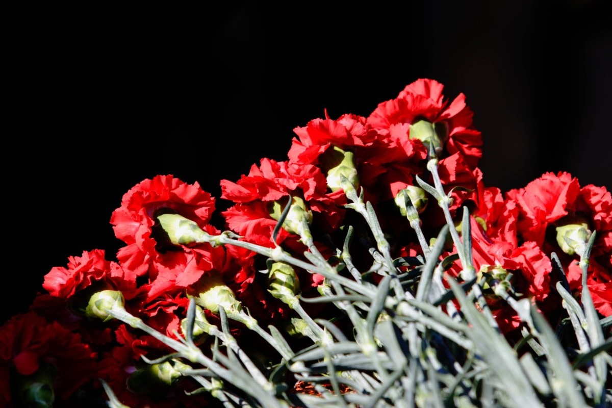    Жители Югры смогут помочь ветеранам до конца июня