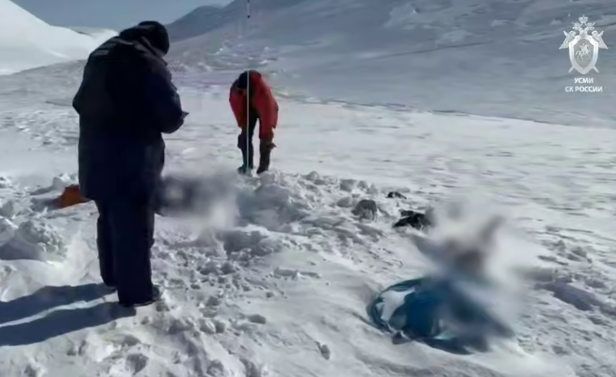     / Источник: © СК России. Кадр из видео