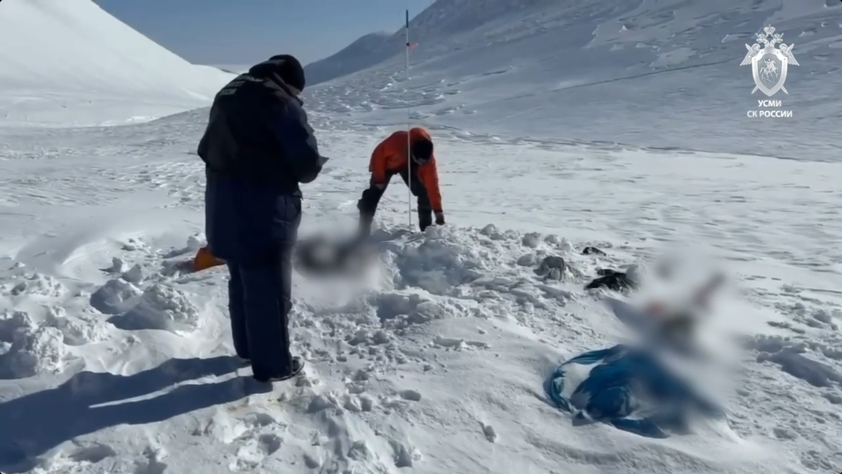    Соцсети / СКР