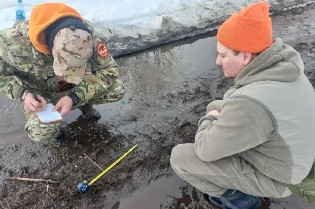    Волонтёры-поисковики рассказали, как ищут пожилых людей в Новосибирске