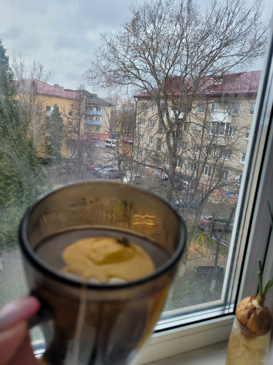 Утро хмурное. Моросит дождь, но чай с лимоном меня согревает. 