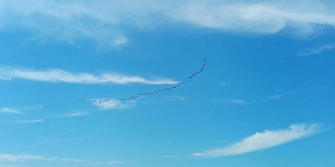 Сегодня в Адлере. 11 апреля 2026 год