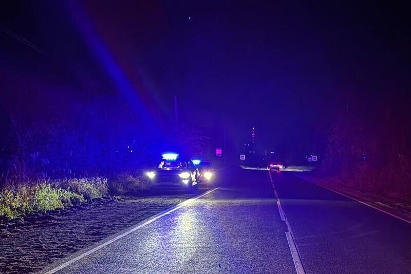 Зауральские полицейские стрельбой по колесам остановили пьяного водителя в Шадринске