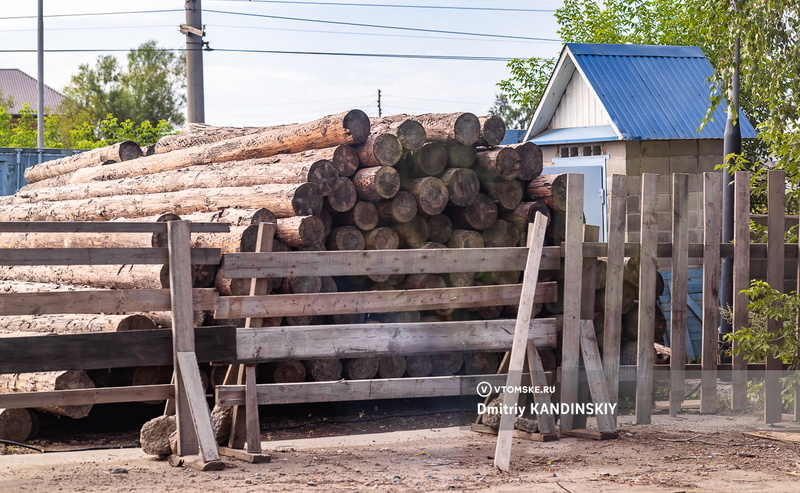 Обвиняемого в незаконной рубке леса на 42 млн руб задержали в Томской области