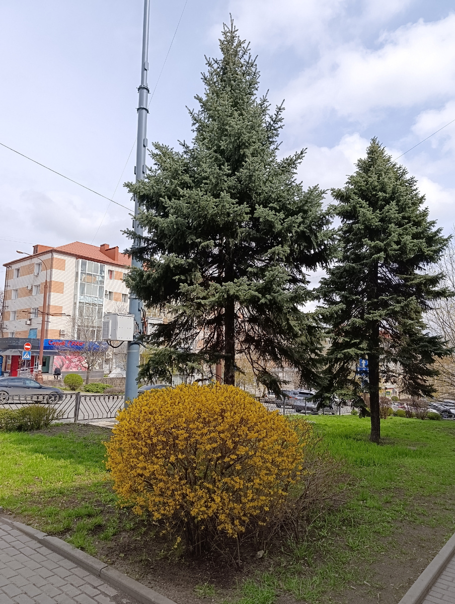 Начало проспекта Ильича.