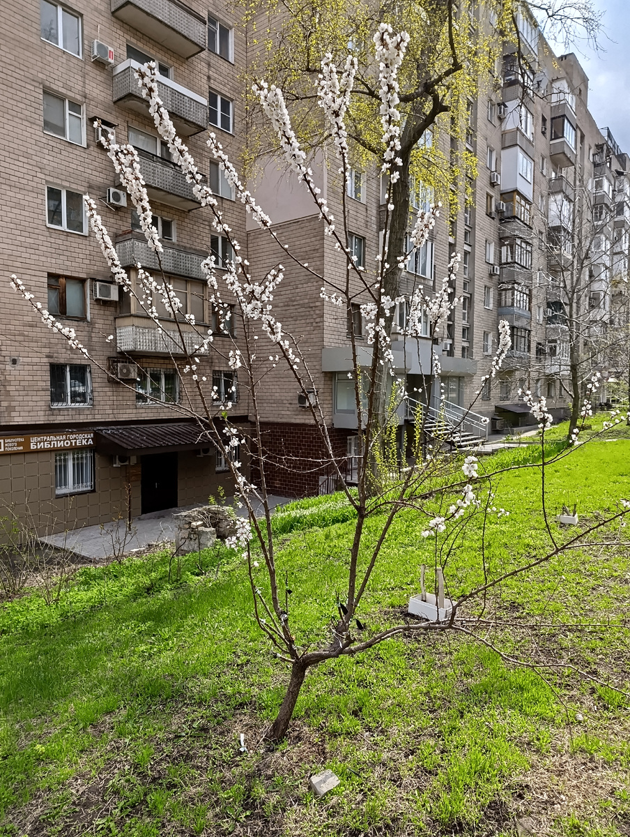 Весна в центре Донецка.