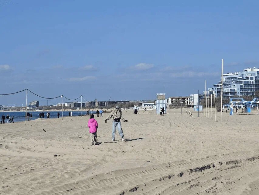    Фото: Юрий Серебренников/BFM Кубань