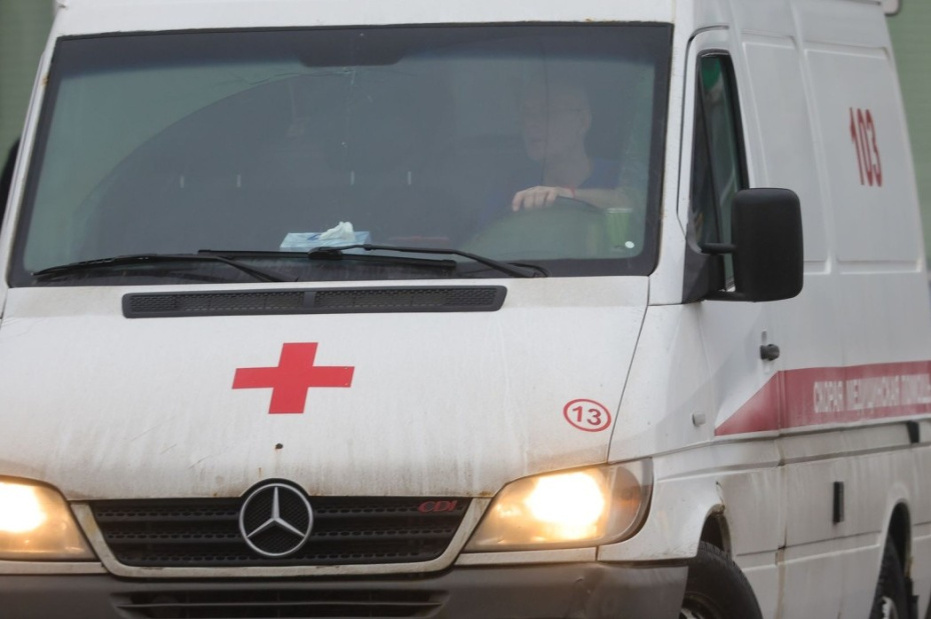    Наталья Шатохина/NEWS.ru