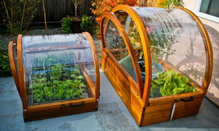 Апрельские заморозки: как спасти рассаду и не потерять весь сезон