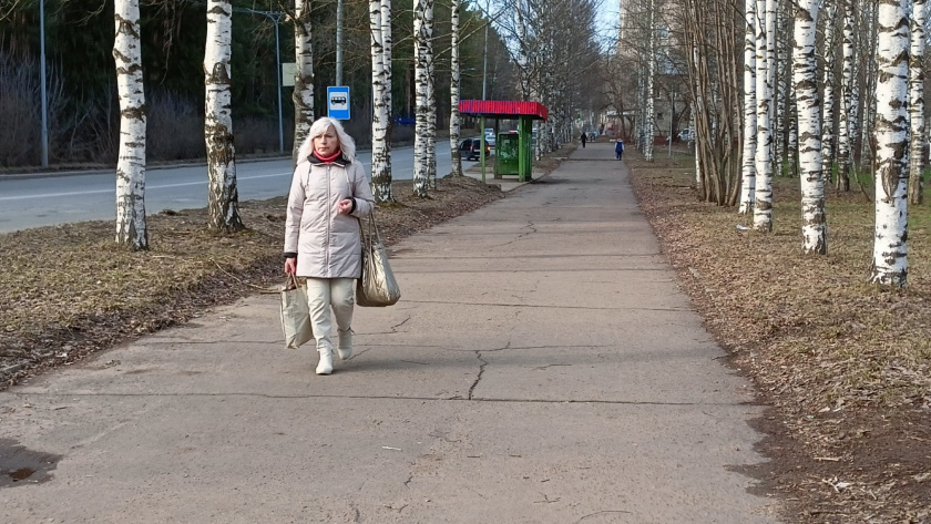    Фото prochepetsk.ru