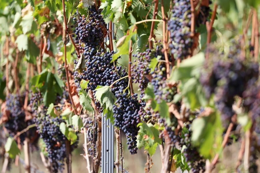     / Источник: © Сергей Мальгавко/ТАСС