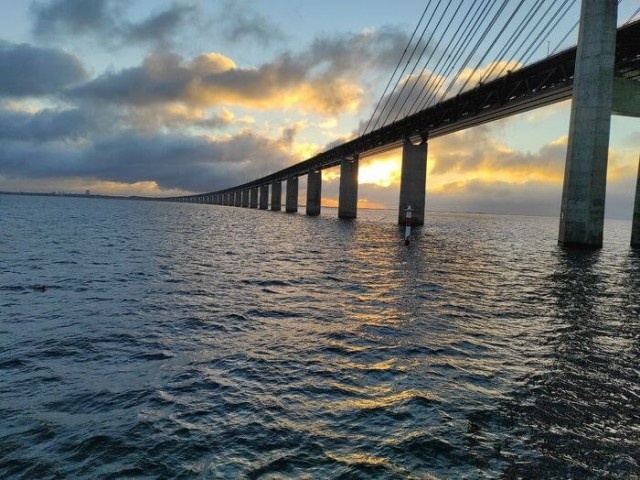 Паромная жизнь. Заключение