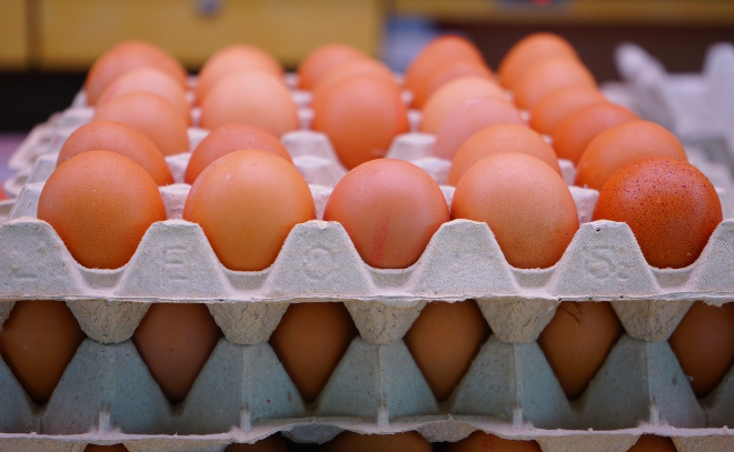    © https://pxhere.com/ru/photo/976093