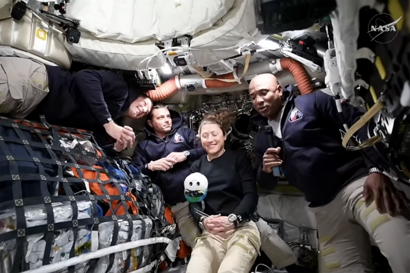 Источник изображения: сайт rg.ru