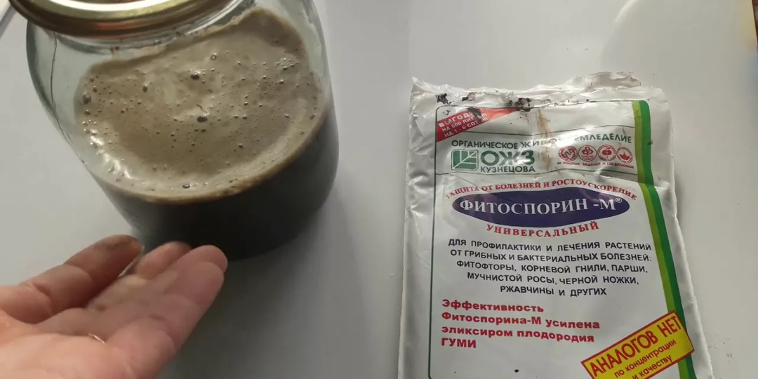 Как развести пасту Фитоспорин-М на весь сезон и для чего это средство