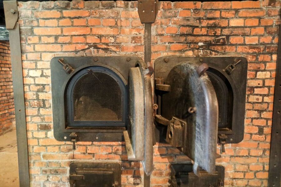     / Источник: © Jan Woitas/DPA/TASS