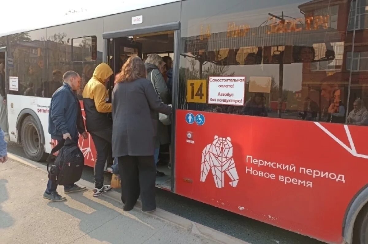    Пермяки не всегда успевают вовремя оплатить проезд.