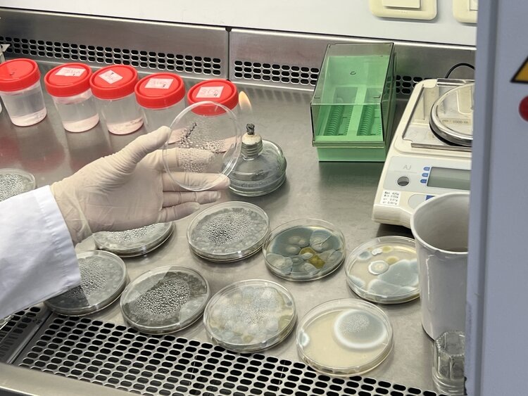    Фото: Федеральный центр охраны здоровья животных