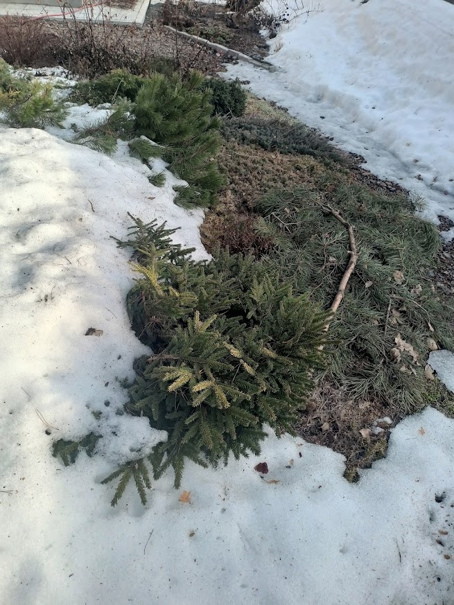 а буквально неделю назад было так