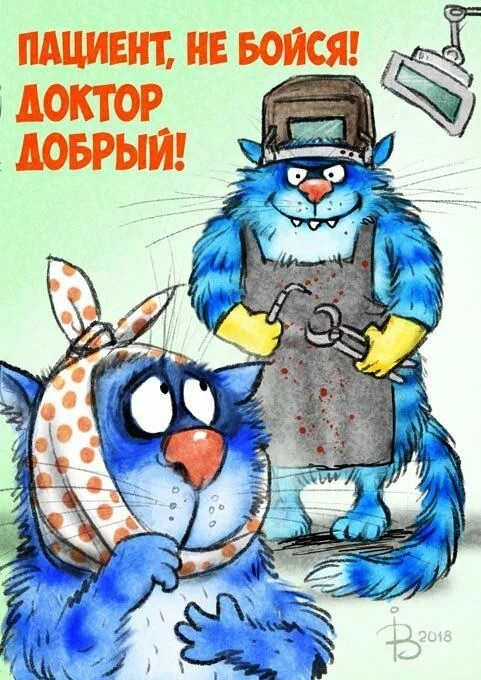 очаровательные коты Рины Зенюк