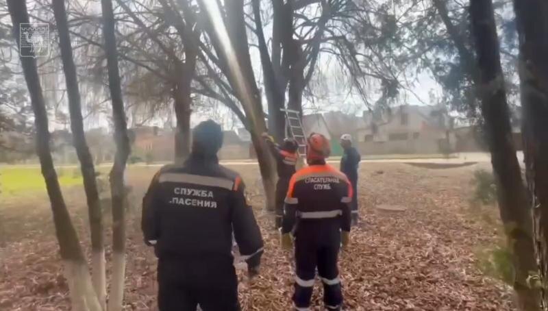 Челябинские спасатели вернулись из Белгорода после месячной командировки