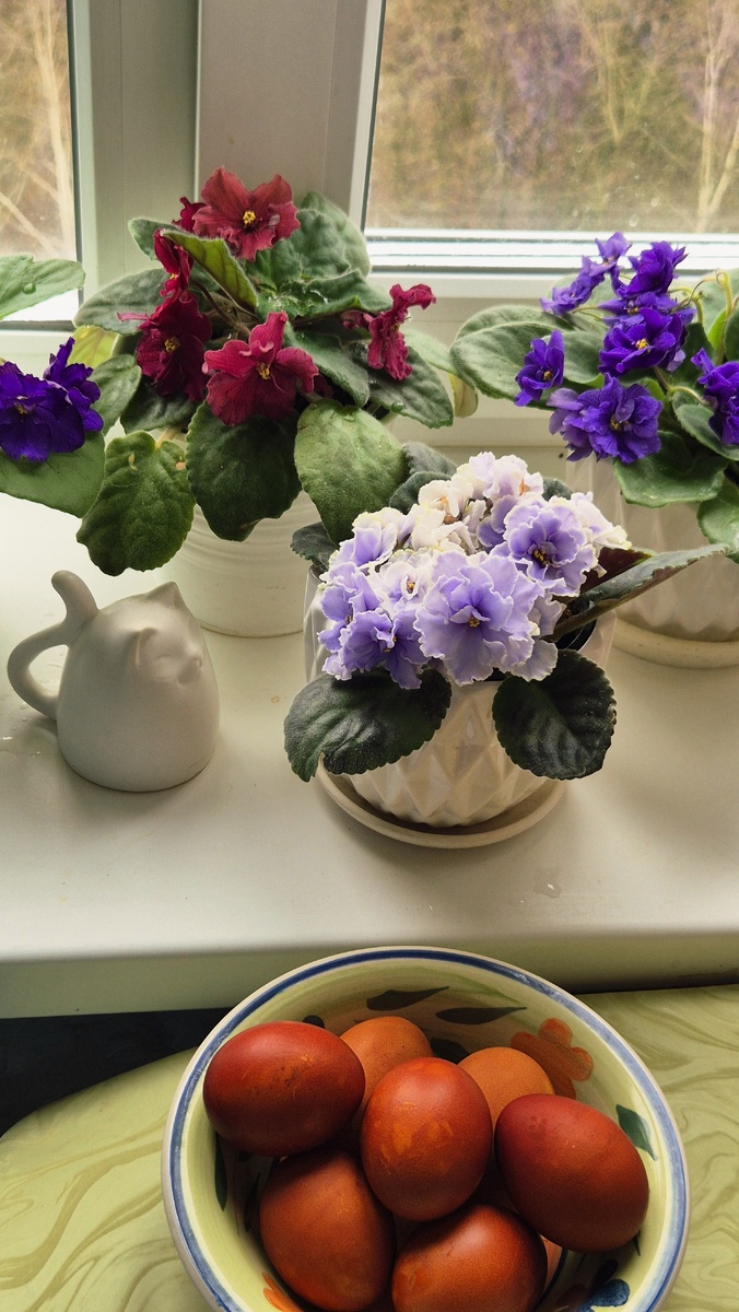 покрасила яйца 