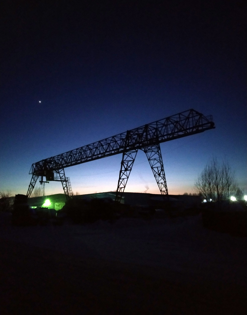 Томский район, февраль 2025 г. Фото автора.