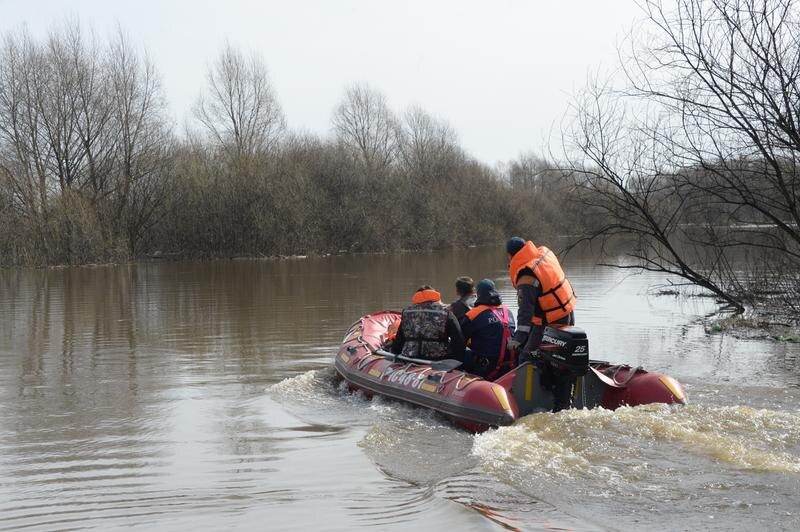 Фото: Павел Ворожцов, «Областная газета»
