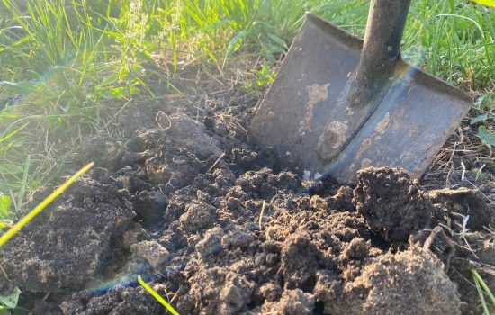    ИА "Орелград"