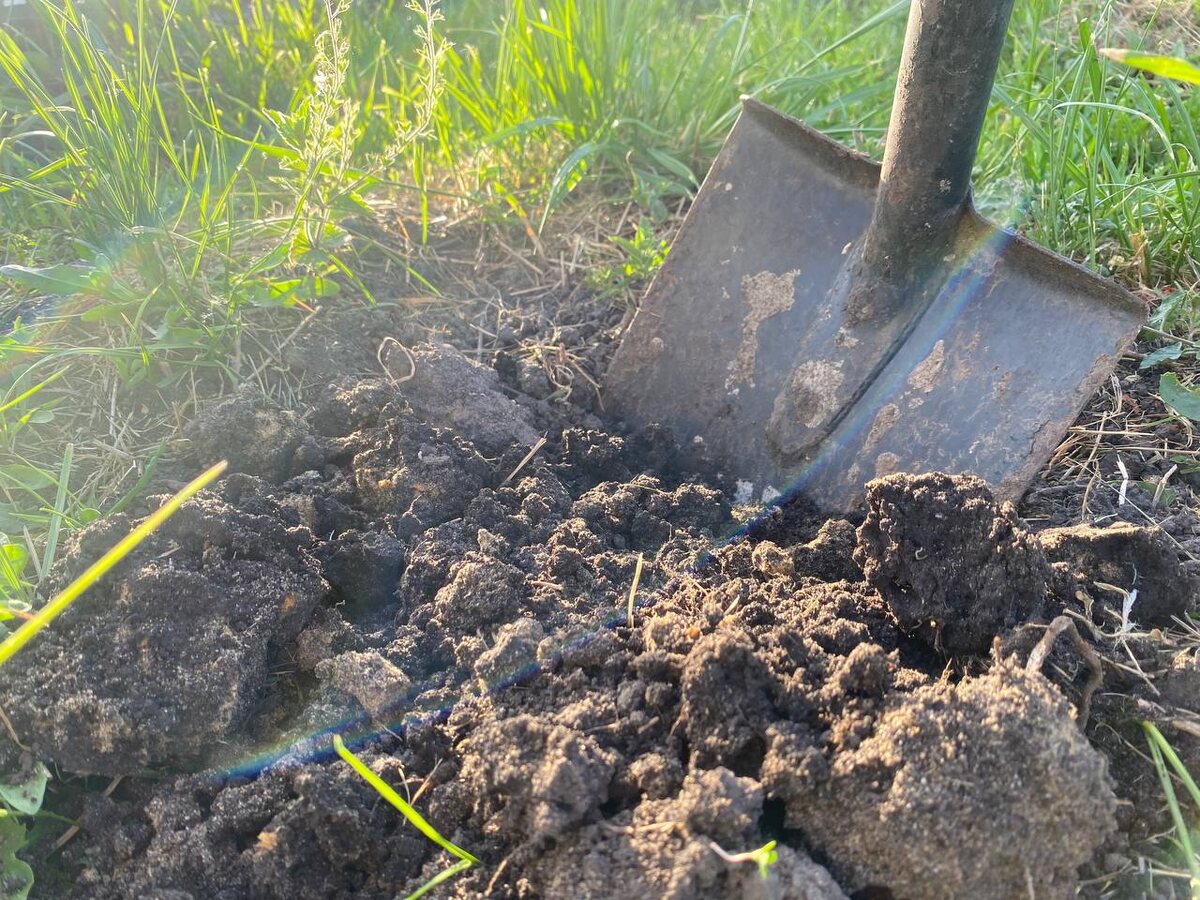    Фото: ИА “Орелград” (иллюстративное)