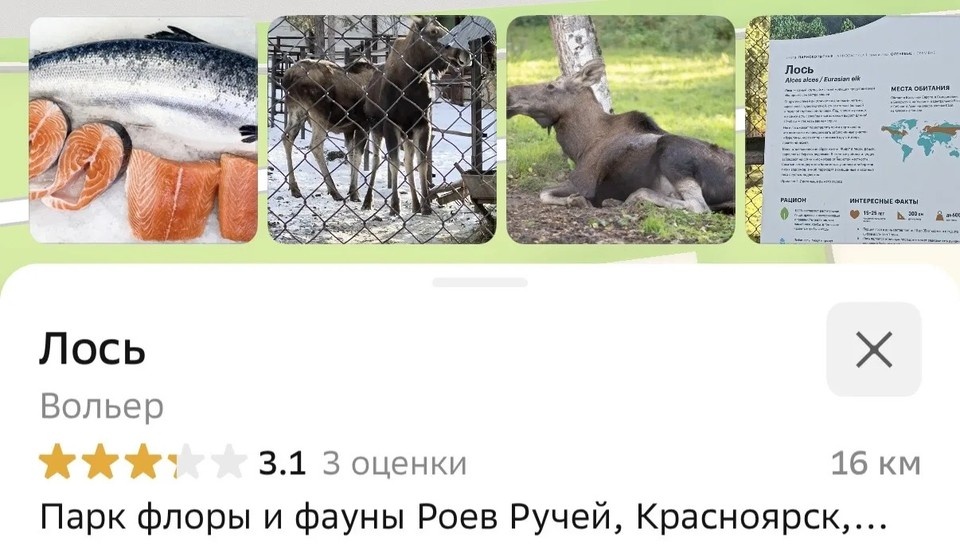 Листайте вправо, чтобы увидеть больше изображений