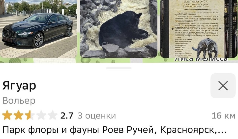 Листайте вправо, чтобы увидеть больше изображений