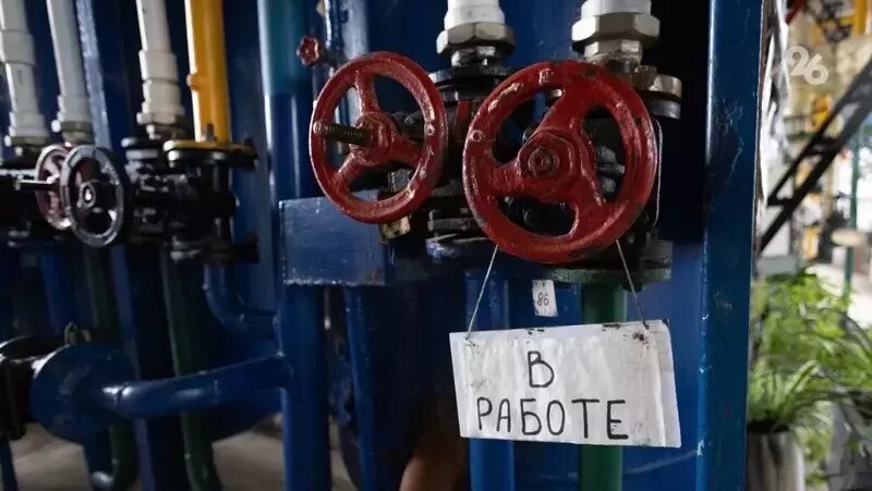      Фото: Валерия Алтухова / ИА «Победа26»