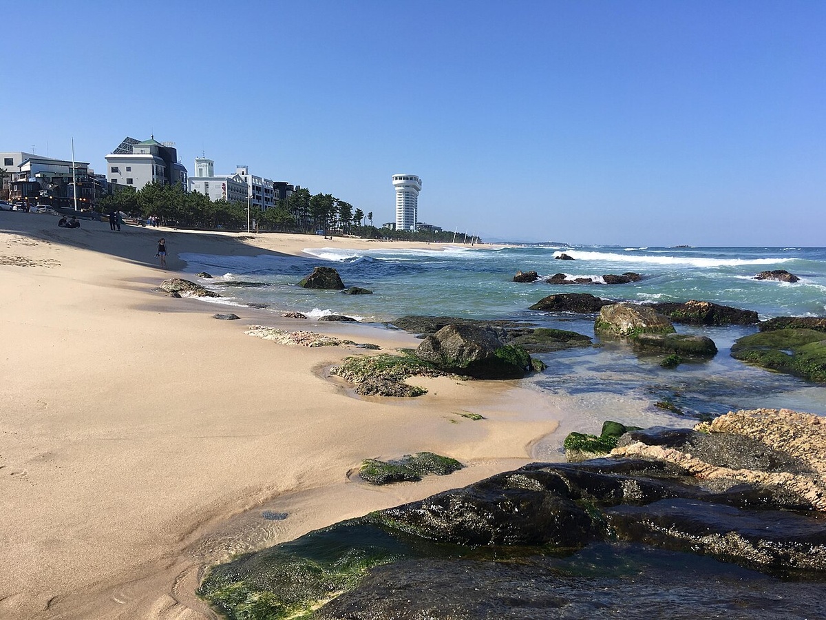 Автор фото: Christophe95. Источник: Wikimedia