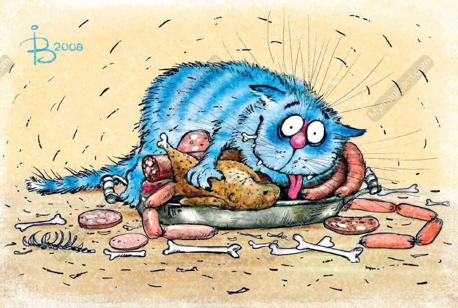 очаровательные коты Рины Зенюк