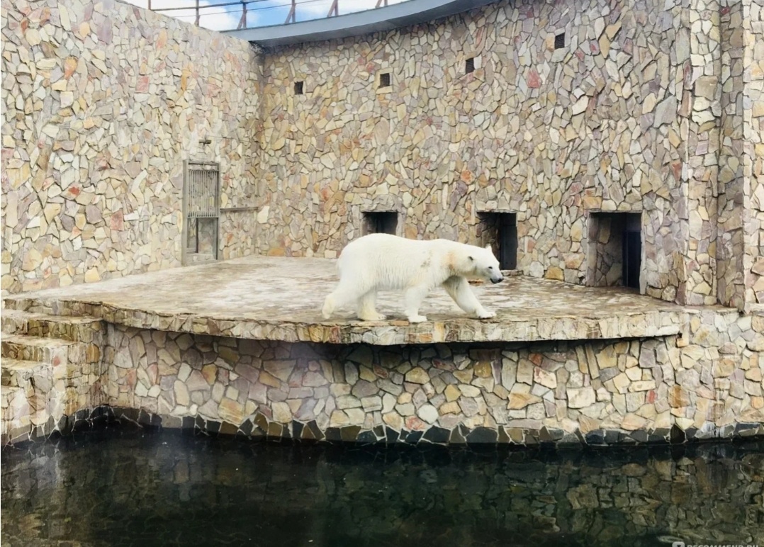 Из открытых источников