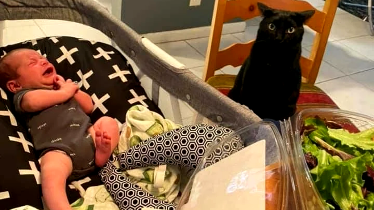 В смысле, он теперь будет моим братом?!