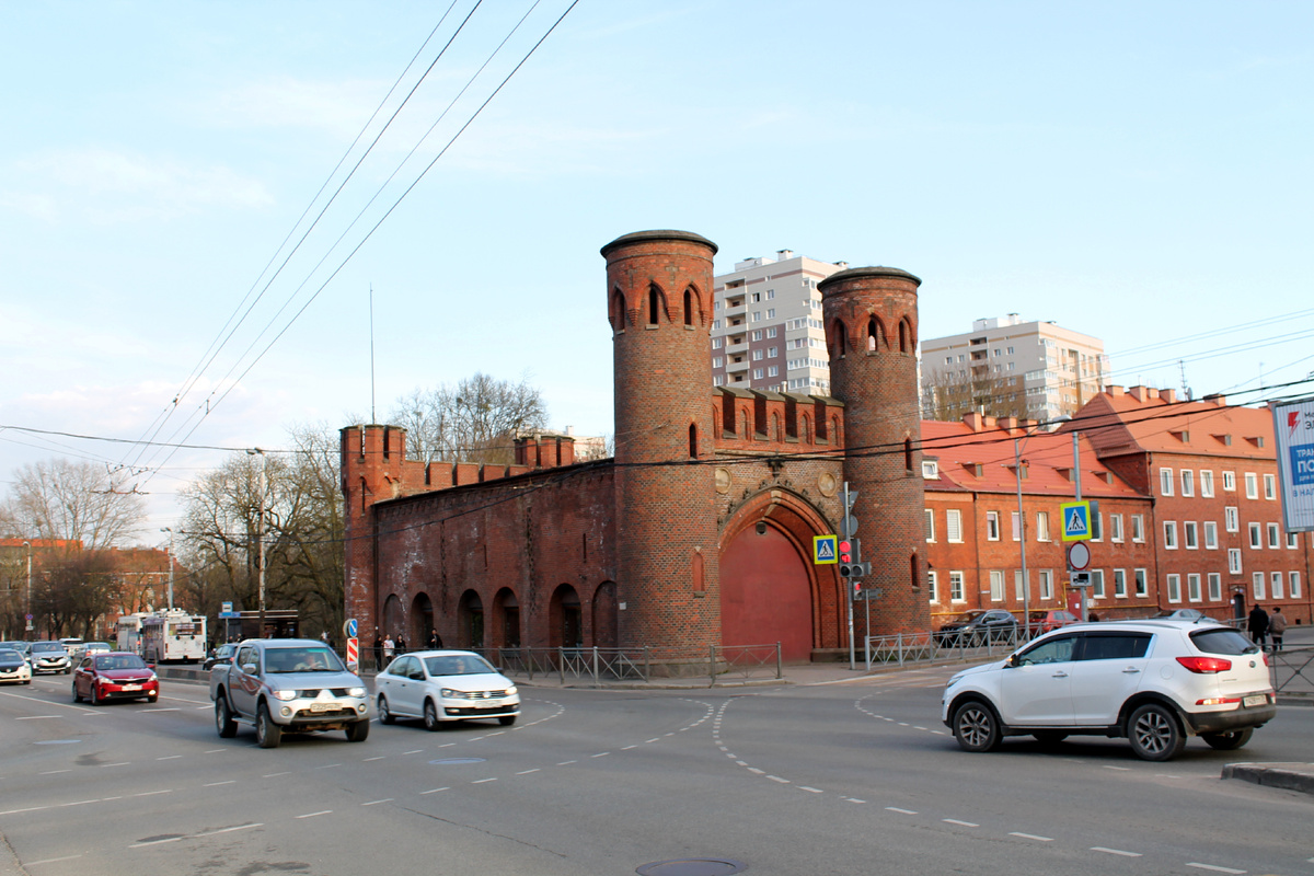Закхаймские ворота
