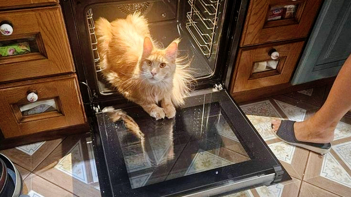 Солярий хороший, только тесный