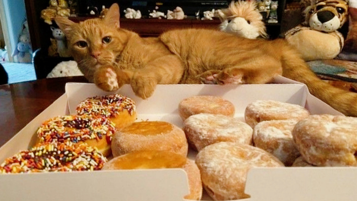 Спасибо! Весьма польщён за этот подгон! ЕЩЕ фото --->>